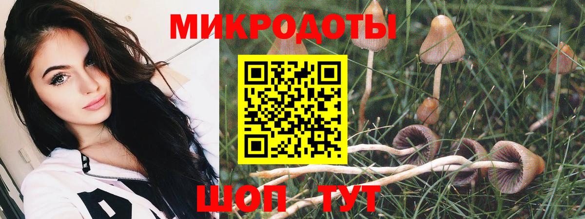 Шахты  Галлюциногенные грибы Cubensis  Вход с VPN  купить   Псилоцибиновые грибы MAGIC MUSHROOMS 