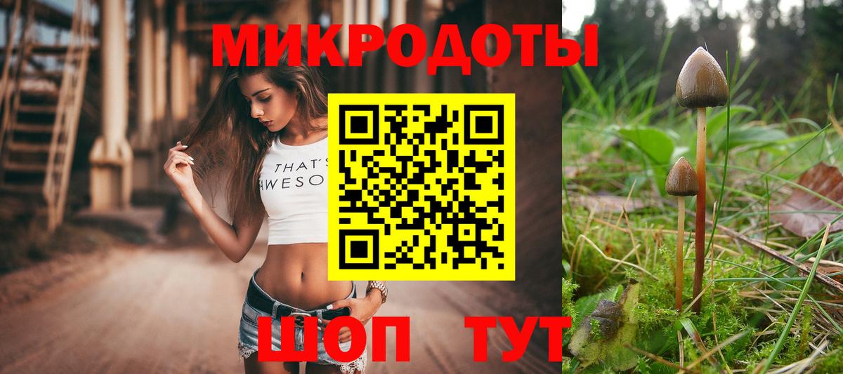 Галлюциногенные грибы Magic Shrooms Шахты